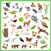 160 Wildlife Stickers by Djeco