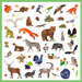 160 Wildlife Stickers by Djeco