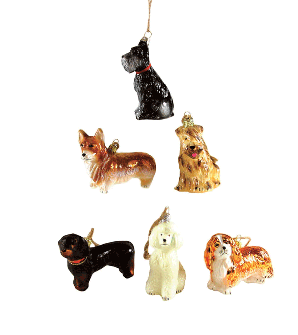 Assorted Dog Glass Ornament by Cody Foster