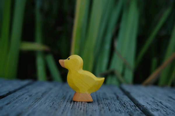 Wooden Duckling by Holzwald