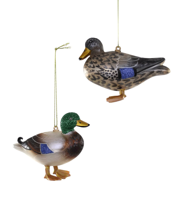 Duck Mallard Glass Ornament by Cody Foster