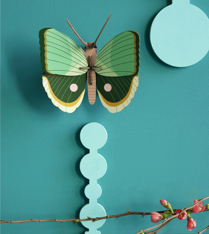 Fern Striped Butterfly Small Insect by studio ROOF