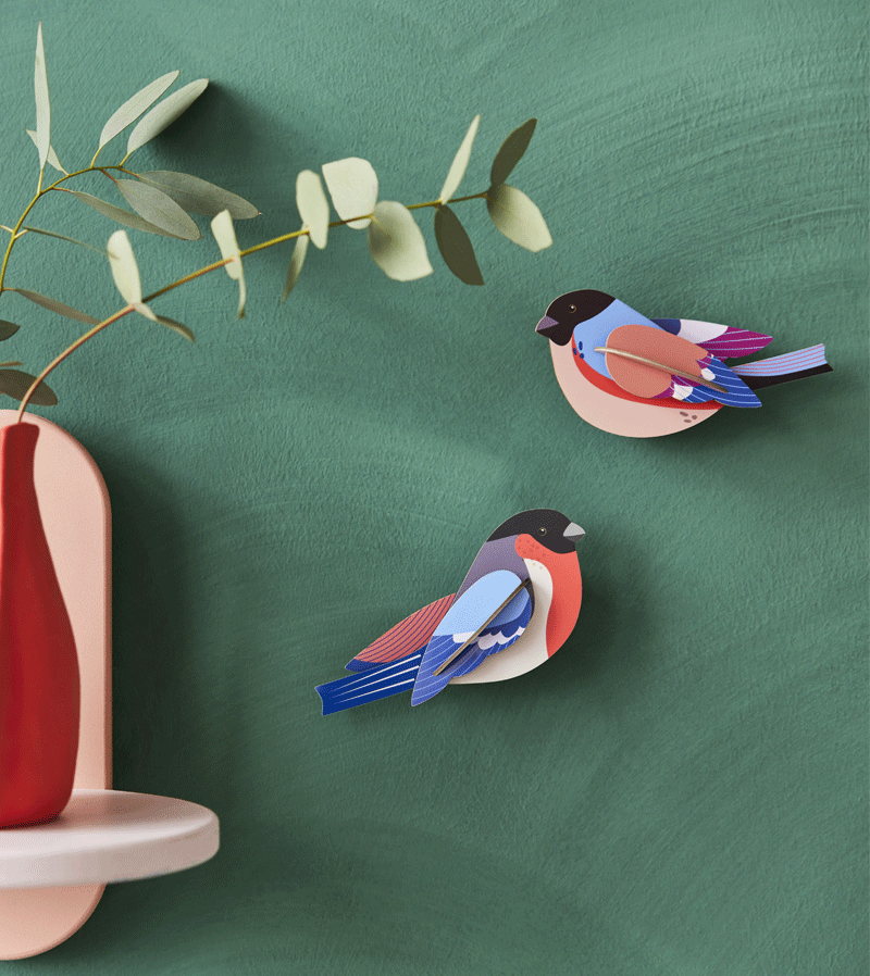 Finches Garden Birds by studio ROOF