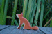 Wooden Sitting Fox by Holzwald