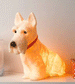White Scotty Terrier Lamp by Heico