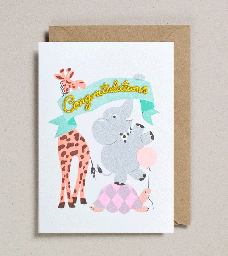 Congratulations Confetti Pets Cards by Petra Boase