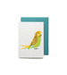 Green Budgie Mini Card by Bobbie Print