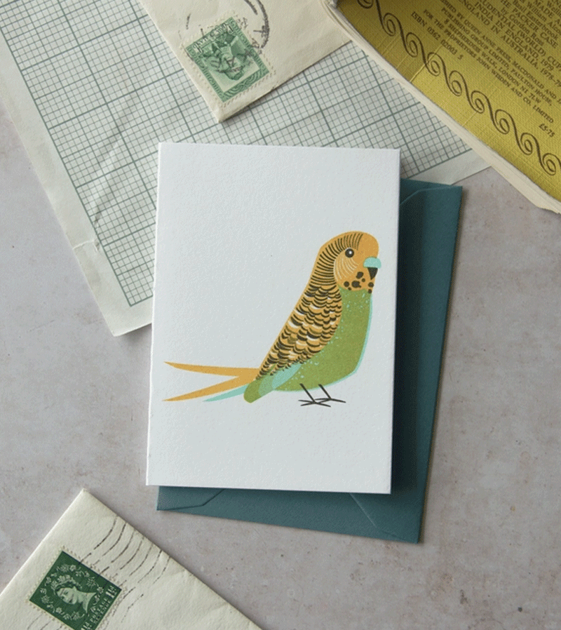 Green Budgie Mini Card by Bobbie Print