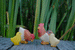 Wooden Hen Picking by Holzwald