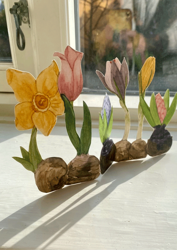 Paper Decoration Hyacinths by Tall Hat Tales