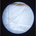 Pocket Microscope by Janod
