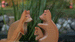 Wooden Kangaroo with Baby by Holzwald