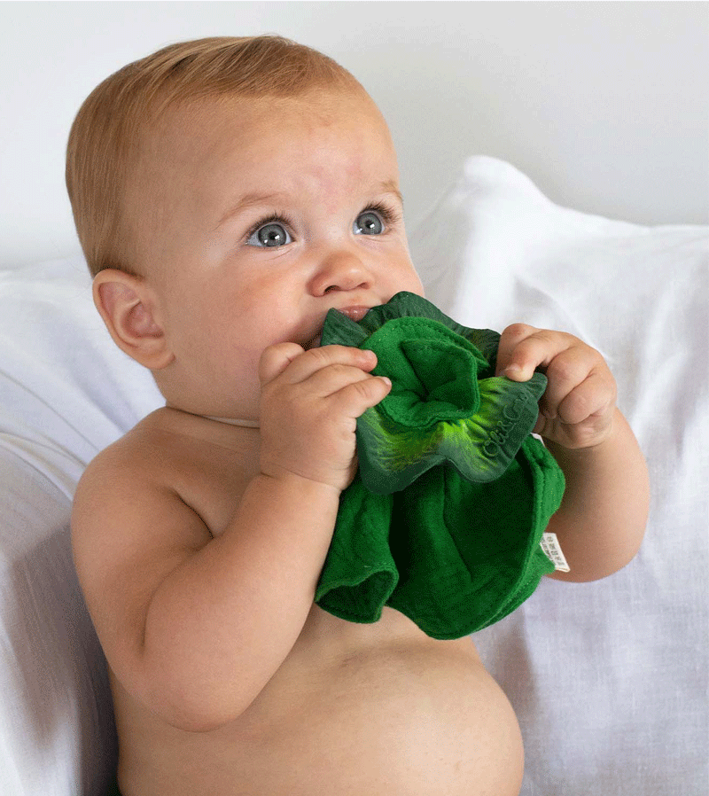 Kendall the Kale Comforter and Baby Teether by Oli and Carol