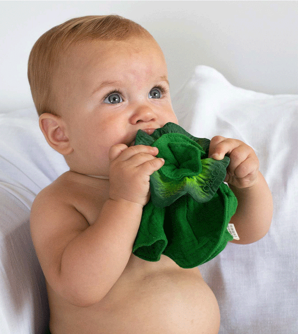 Kendall the Kale Comforter and Baby Teether by Oli and Carol