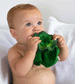 Kendall the Kale Comforter and Baby Teether by Oli and Carol
