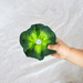 Kendall the Kale Comforter and Baby Teether by Oli and Carol