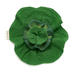 Kendall the Kale Comforter and Baby Teether by Oli and Carol