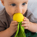 John Lemon Comforter and Teether by Oli and Carol