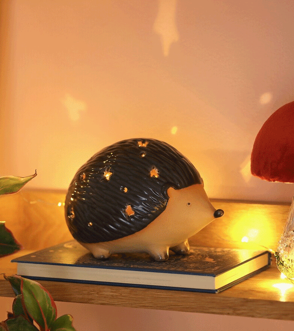 Ceramic Mr Prickles LED Hedgehog Light