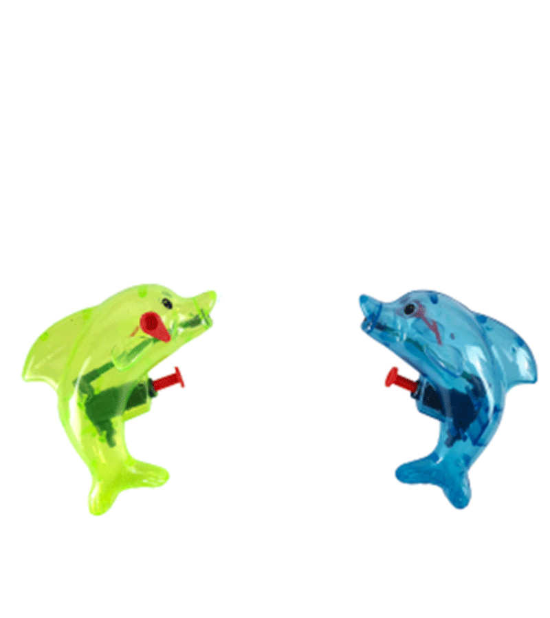 Dolphin Water Pistol