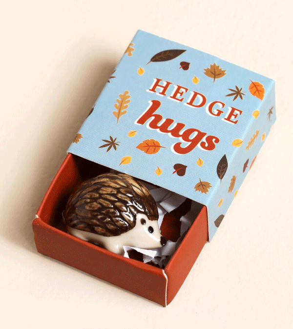 Hedge Hugs Hedgehog Matchbox