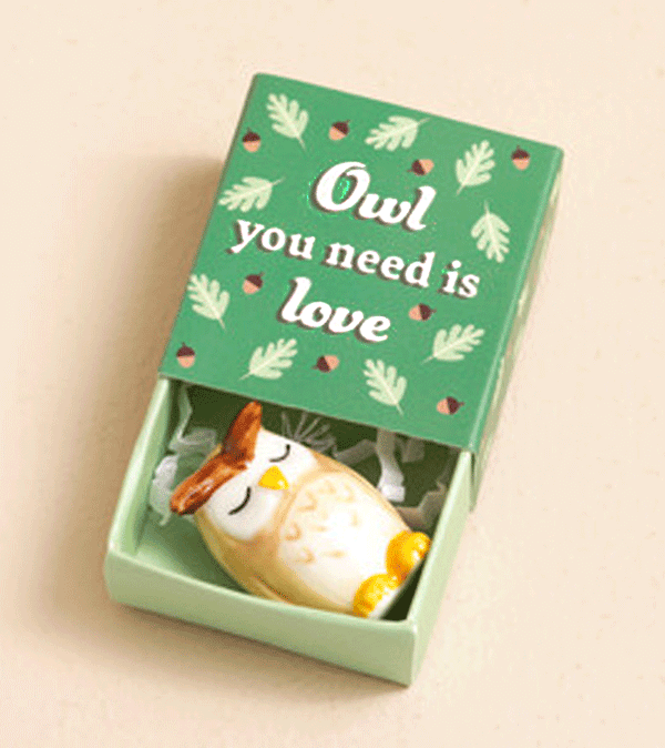 Owl You Need is Love - Owl - Matchbox