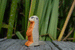 Wooden Meerkat by Holzwald