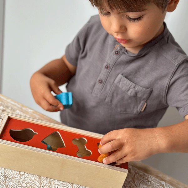 Pet Shape Sorting Box by Mentari