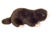 Plush Mole by Teddy Hermann