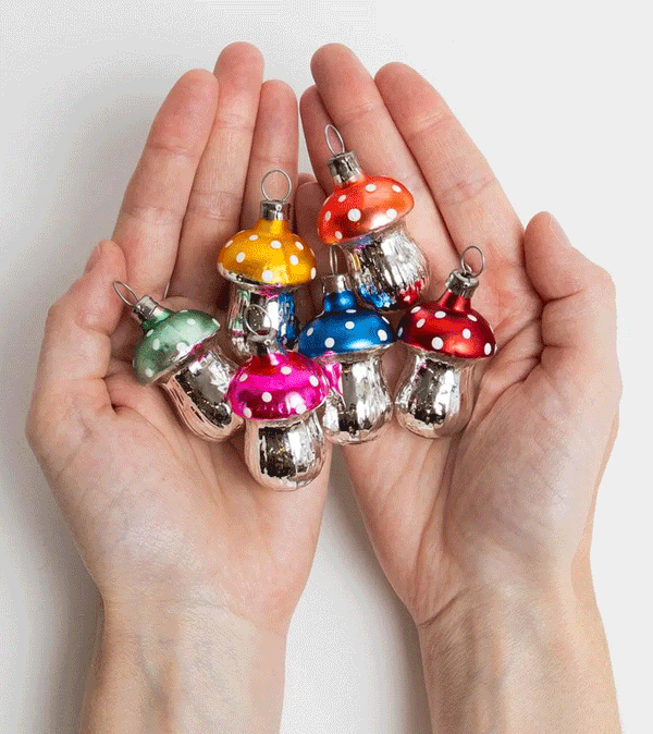 Merry and Bright Mushrooms by Cody Foster