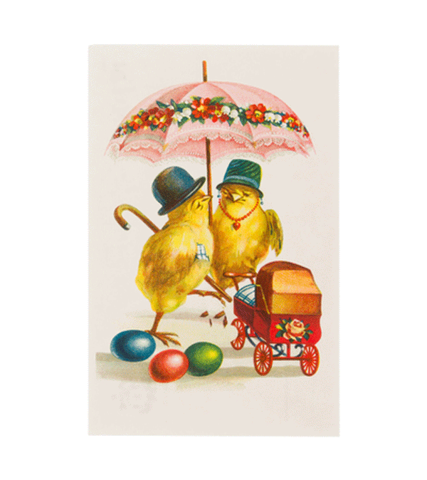 New Parent Chicks under the Parasol Retro Postcard