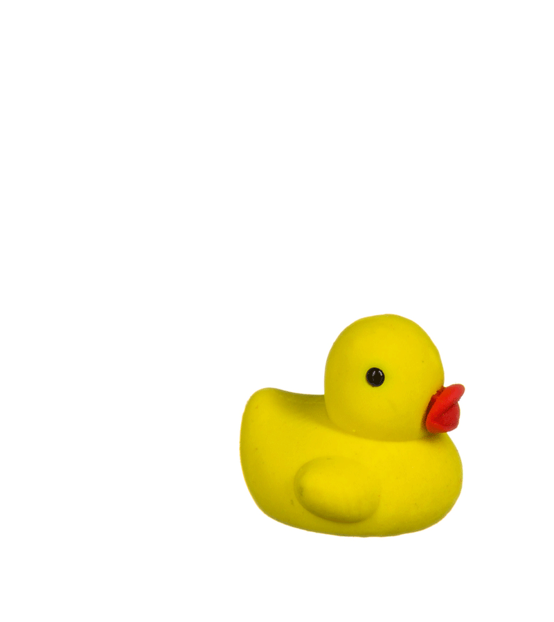 Rubber Duck Eraser