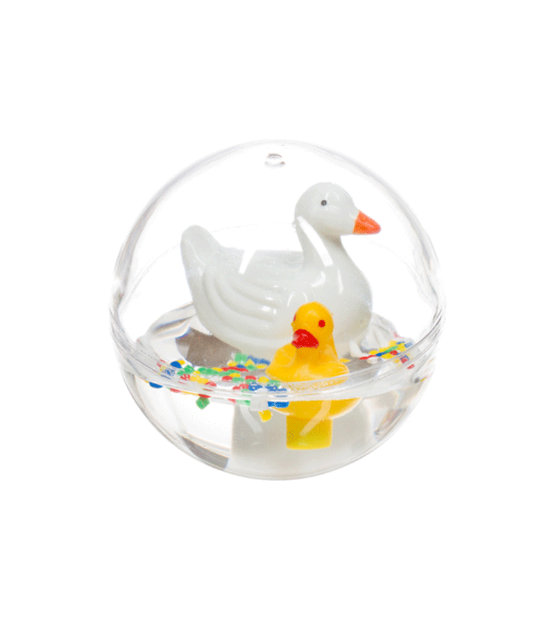 Ducks Waterball