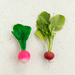 Ramona the Radish Baby Teether by Oli and Carol