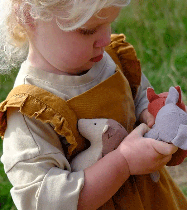 Cuddles the Hedgehog in Tent Box by Nutshell Toys