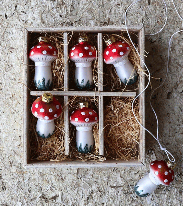 Toadstool Glass Ornament by Cody Foster