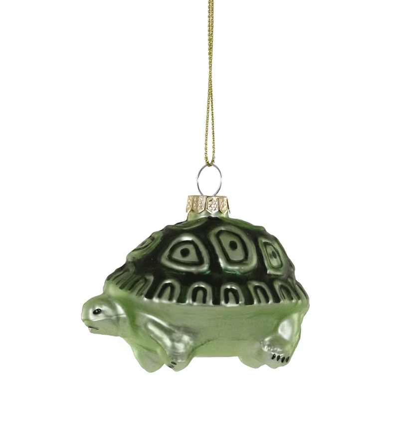 Tiny Terrapin Turtle Glass Ornament by Cody Foster