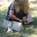 Tilly the Rabbit in Tent Box by Nutshell Toys