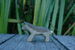 Wooden Wolf Cub by Holzwald