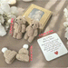 Pocket Bear in Box