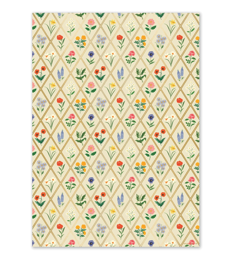 Garden Study Wrapping Sheet by Rifle Paper Co