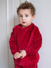 Ruby Velour Velvet Sweatshirt by Serendipity