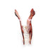 Tortoise Shell Dachshund Sausage Dog Hair Claw Clip by Molly & Rose