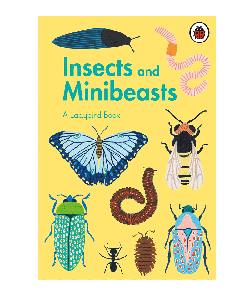 Insects and Minibeasts Illustrated by Amber Davenport