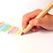 The Jumbo Multicolour Colouring Pencil by Odd Goose Stationary