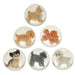 Playful Pups Bouncy Ball