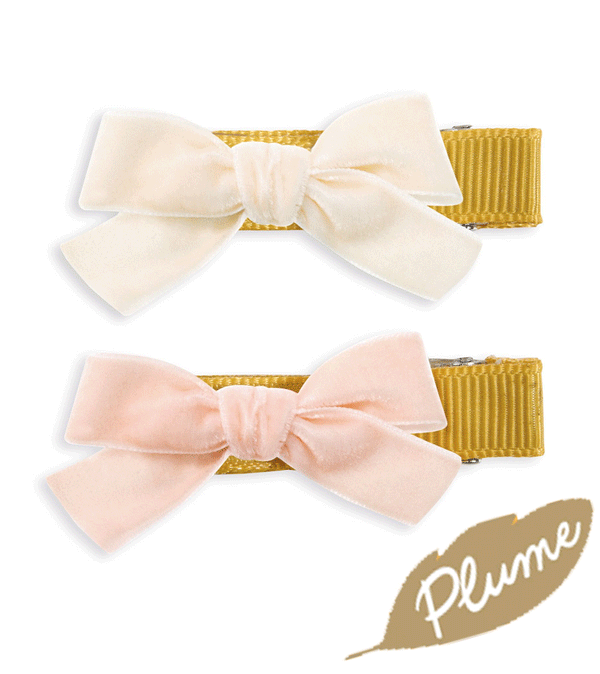 Set of 2 Alicia Hair Clips by Djeco Plume Range