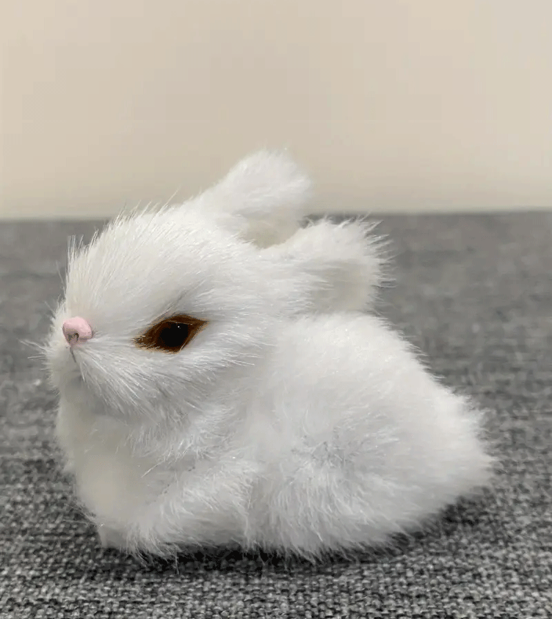 Fluffy White Bunny