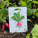 Radish Vegetable Iron-On Embroidered Patch by Petra Boase