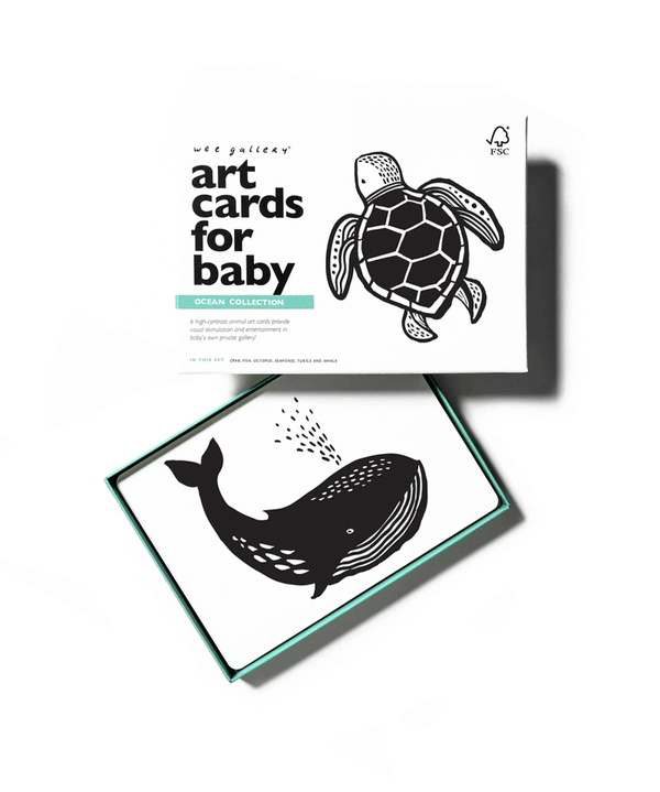 Ocean Art Cards for Baby by Wee Gallery